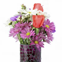 Purple Daisy Bouquet